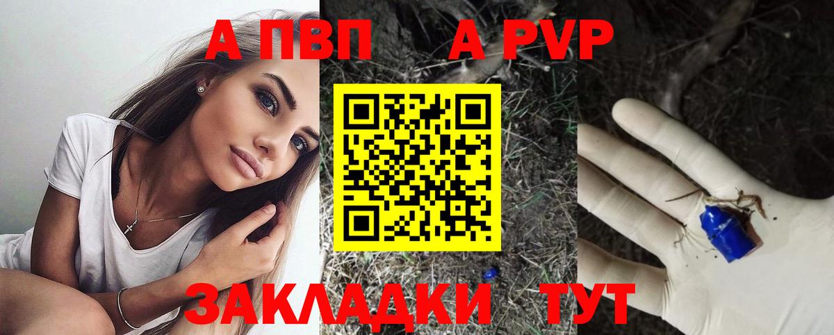 A-PVP СК КРИС Шебекино
