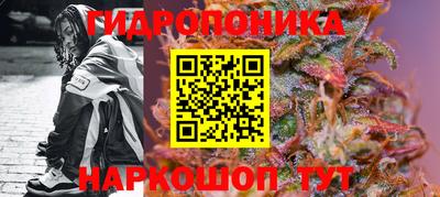 мяу мяу мука Бузулук